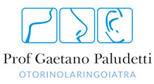 Prof Gaetano Paludetti - Otorinolaringoiatra Roma